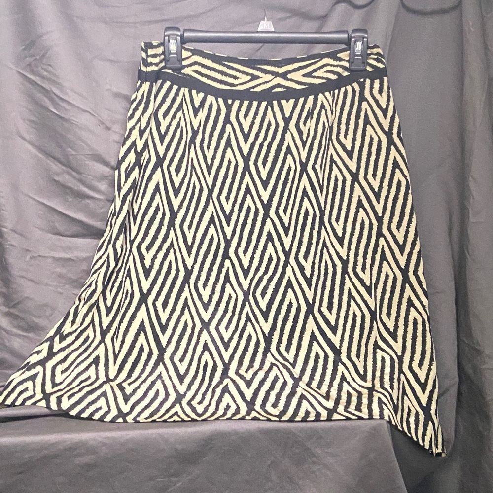 Ann Taylor Classic Silk Skirt